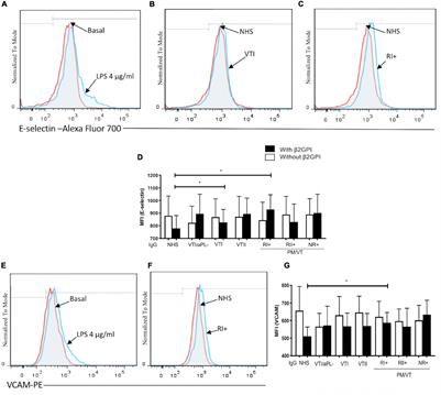 Differences in Endothelial Activation and Dysfunction Induced by Antiphospholipid Antibodies Among Groups of Patients With Thrombotic, Refractory, and Non-refractory Antiphospholipid Syndrome